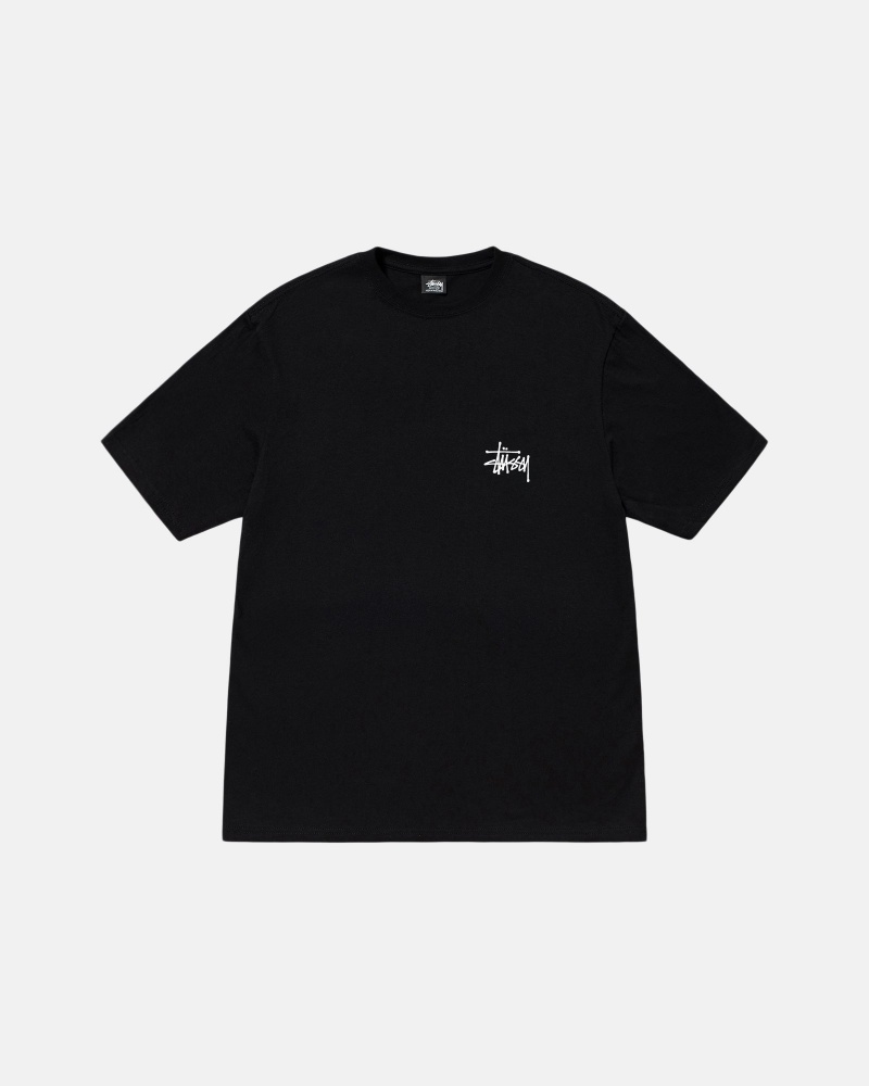 Stussy Basic T-shirts Zwart | 15480-TGDA