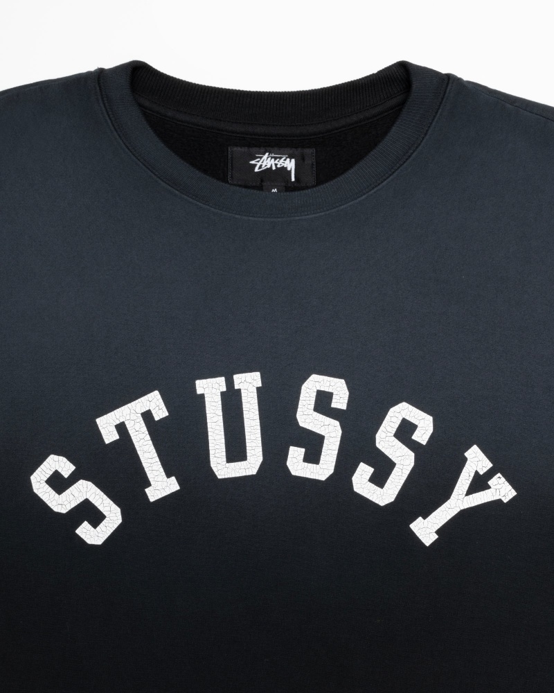 Stussy Sun Faded Oversized Crew Sweatshirts Zwart | 49037-YCQB