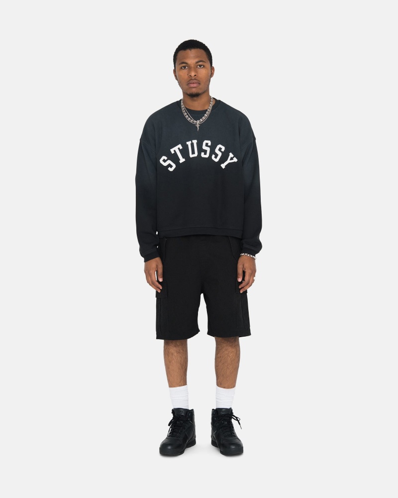 Stussy Sun Faded Oversized Crew Sweatshirts Zwart | 49037-YCQB